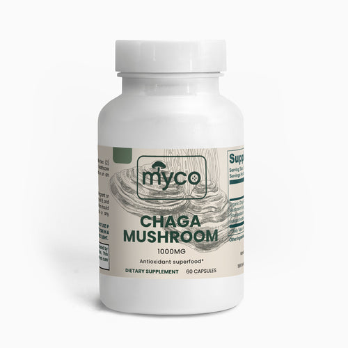 Chaga Mushroom