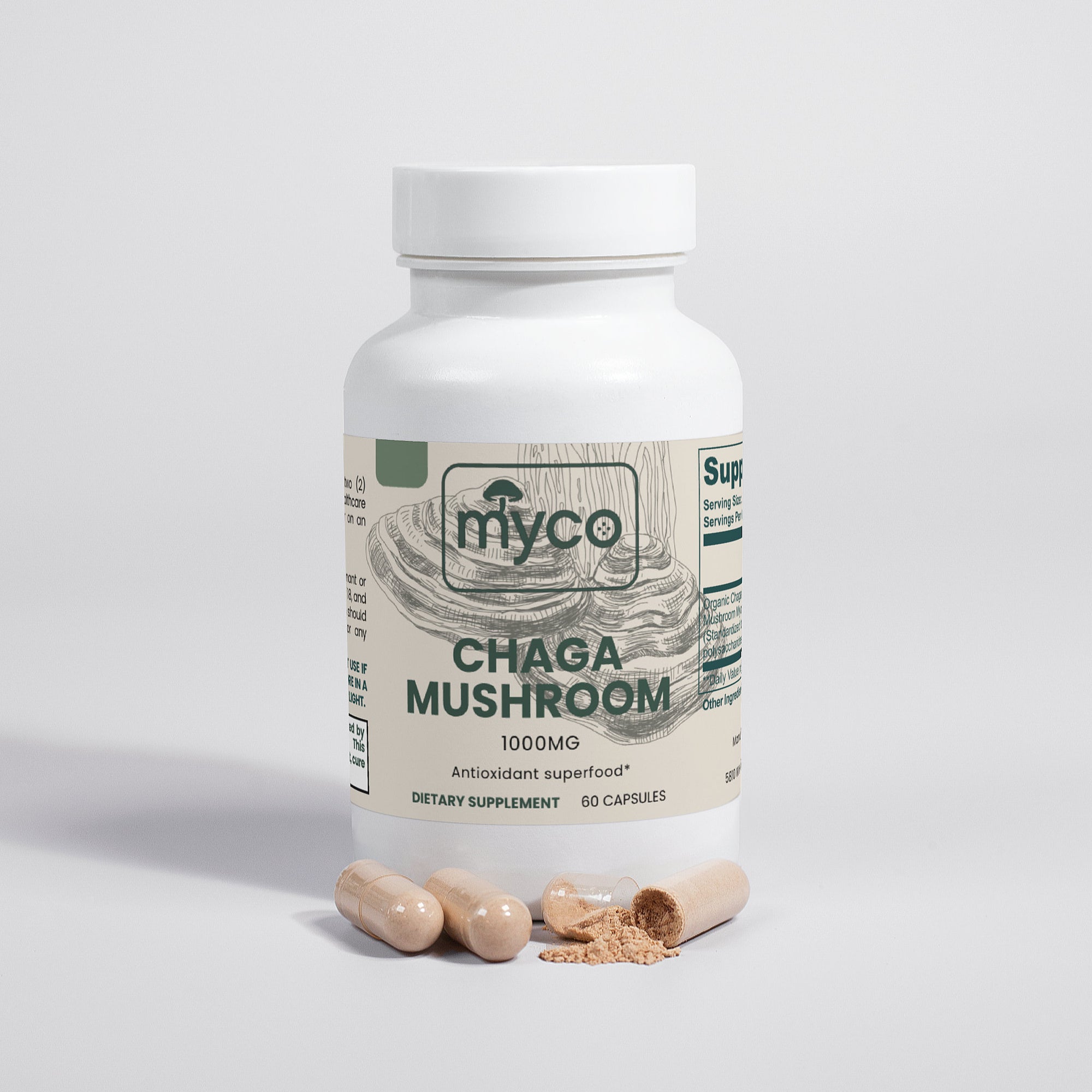 Chaga Mushroom