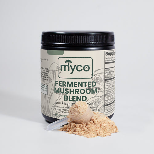 Fermented Mushroom Blend